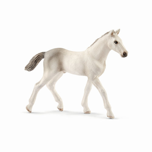 Schleich Horse Club - Holsteiner foal (7.8cm Tall)<br>(Shipped in 10-14 days)