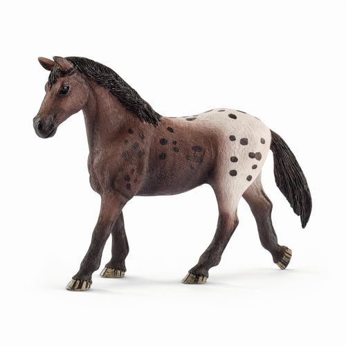 Schleich Horse Club - Appaloosa mare (10.1cm Tall)<br>(Shipped in 10-14 days)
