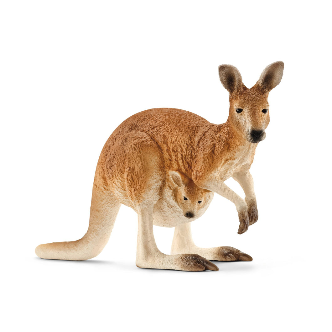 Schleich Wild Life - Kangaroo (7cm Tall)<br>(Shipped in 10-14 days)