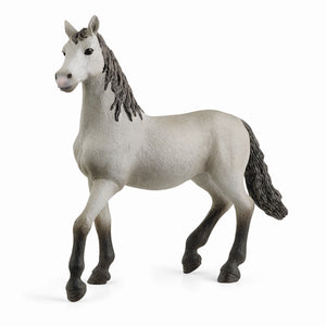 Schleich Horse Club - Pura Raza Espanola Young Horse<br>(Shipped in 10-14 days)