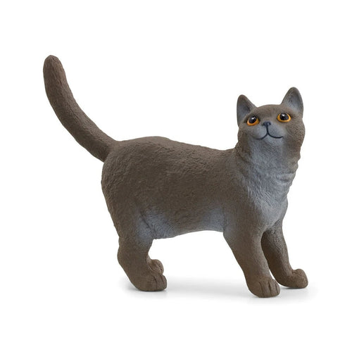 Schleich Farm World - British Shorthair Cat<br>(Shipped in 10-14 days)