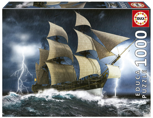Educa Perfect Storm (1x1000pc)<br>(Shipped in 10-14 days)