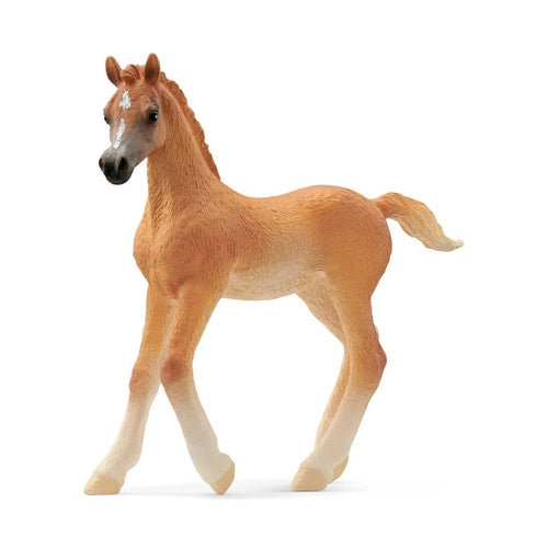 Schleich Horse Club - Arab foal<br>(Shipped in 10-14 days)