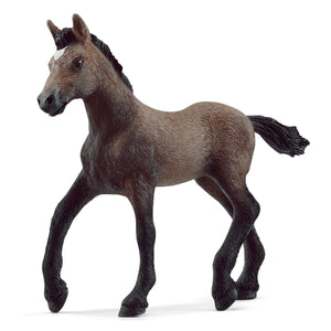 Schleich Horse Club - Peruvian Paso Foal (8.3cm Tall)<br>(Shipped in 10-14 days)