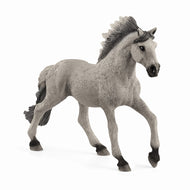Schleich Farm World Sorraia Mustang Stallion (11cm) DISC<br>(Shipped in 10-14 days)