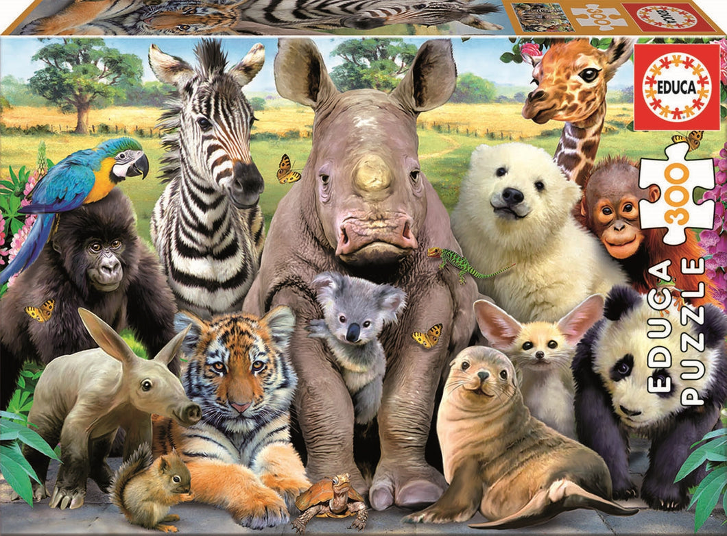 Educa It's a Class Photo (1x300pc)<br>(Shipped in 10-14 days)