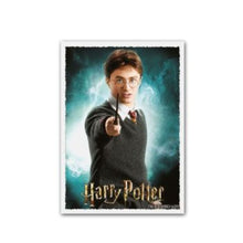 Load image into Gallery viewer, Harry Potter &#39; Harry Potter&#39; Matte Art Standard Sleeves DragonShield
