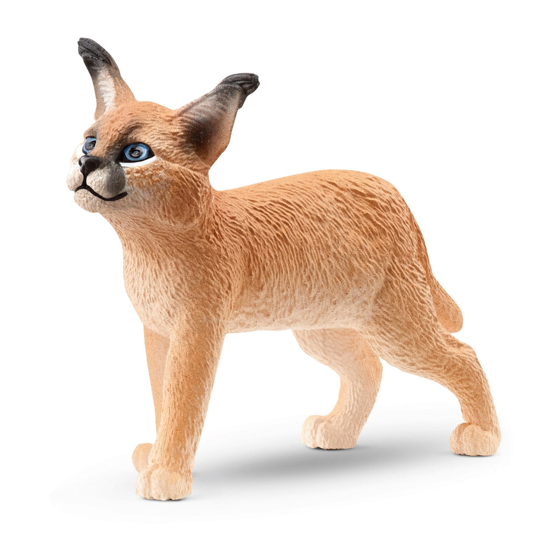 Schleich Wild Life - Caracal Baby (4cm Tall)<br>(Shipped in 10-14 days)