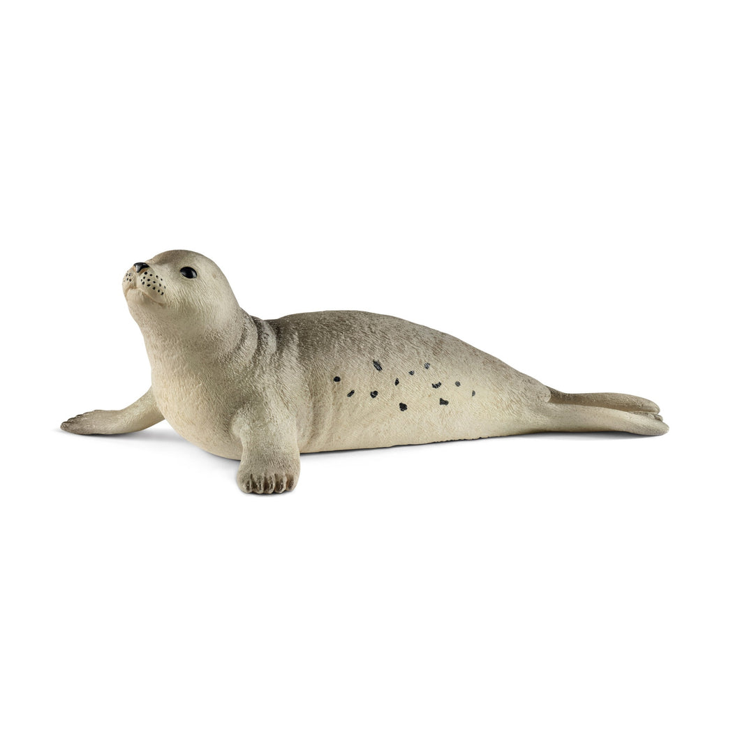 Schleich Wild Life - Seal (11.2cm Long)<br>(Shipped in 10-14 days)