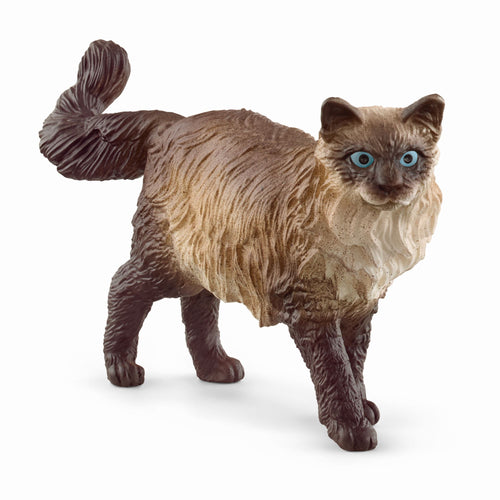 Schleich Farm World - Ragdoll cat (4cm Tall)<br>(Shipped in 10-14 days)