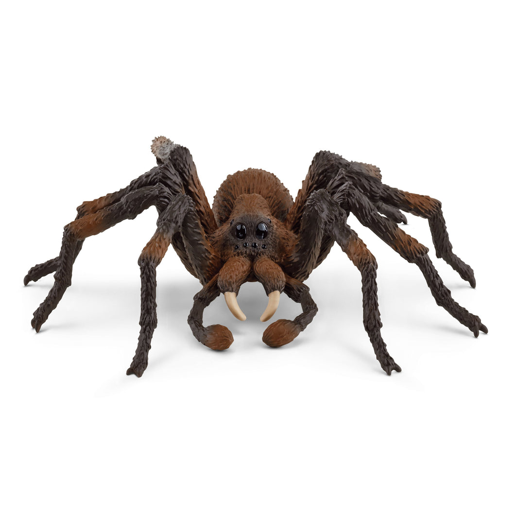Schleich Wizarding World - Aragog<br>(Shipped in 10-14 days)