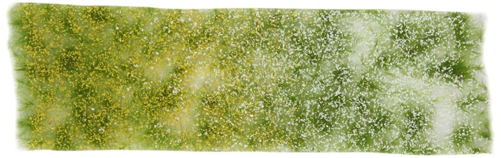 Meadow Flowers Battlefield Tufts Army Painter