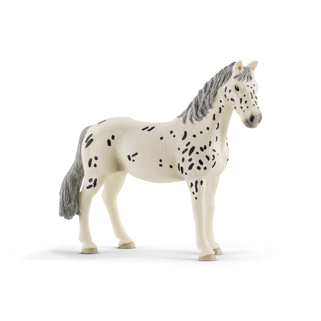 Schleich Horse Club - Knabstrupper mare (11cm Tall)<br>(Shipped in 10-14 days)