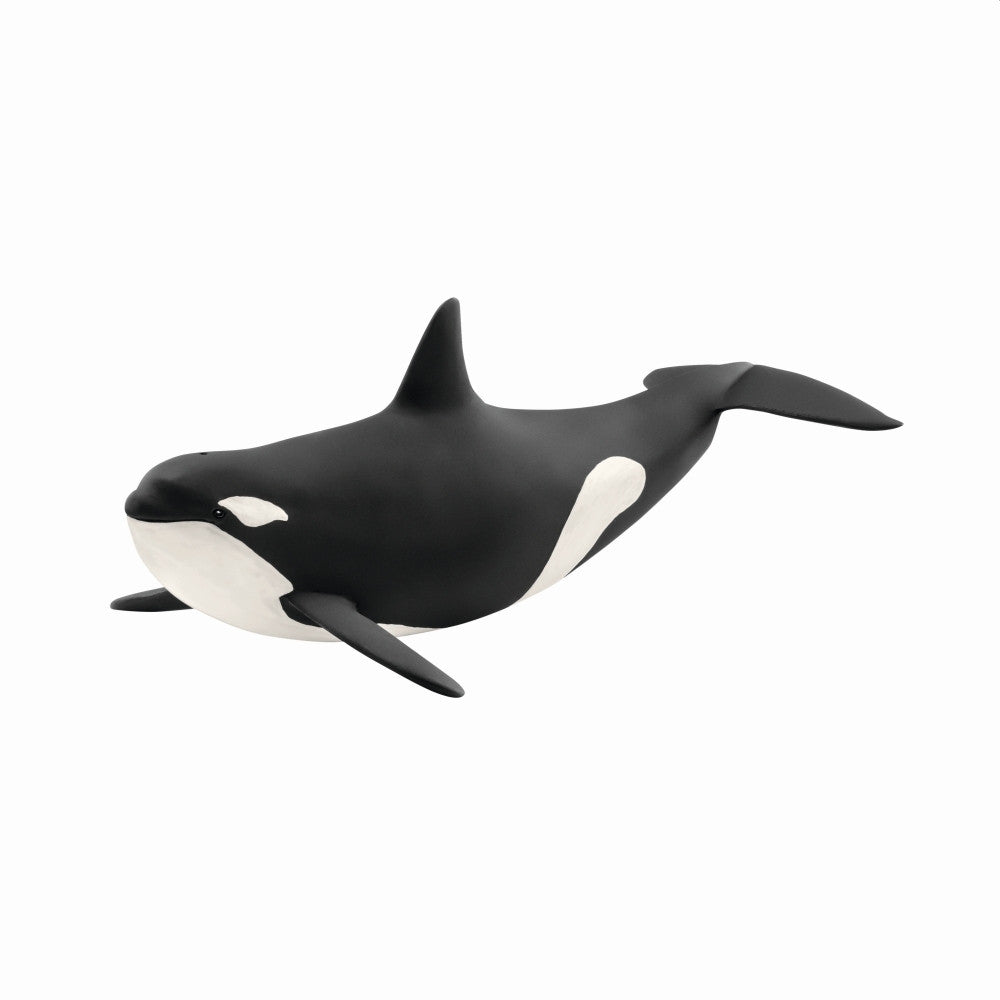 Schleich Wild Life - Killer Whale (6.7cm Tall)<br>(Shipped in 10-14 days)